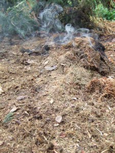Grass cuttings left in a heap and turning into carbon dioxide and soot