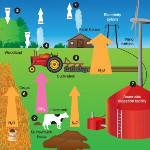 Diagram by Farming Futures of greenhouse gases from land use