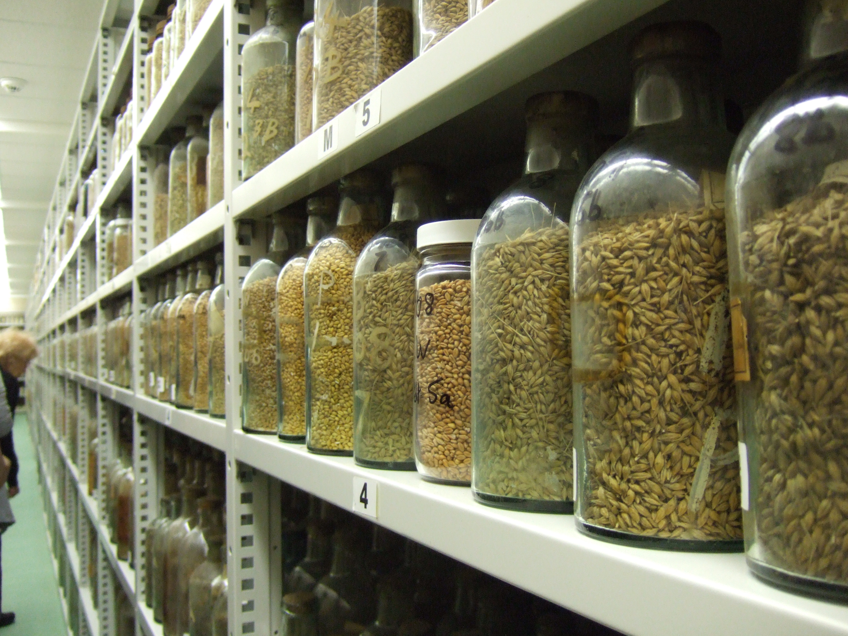 Inside the Rothamsted sample archive