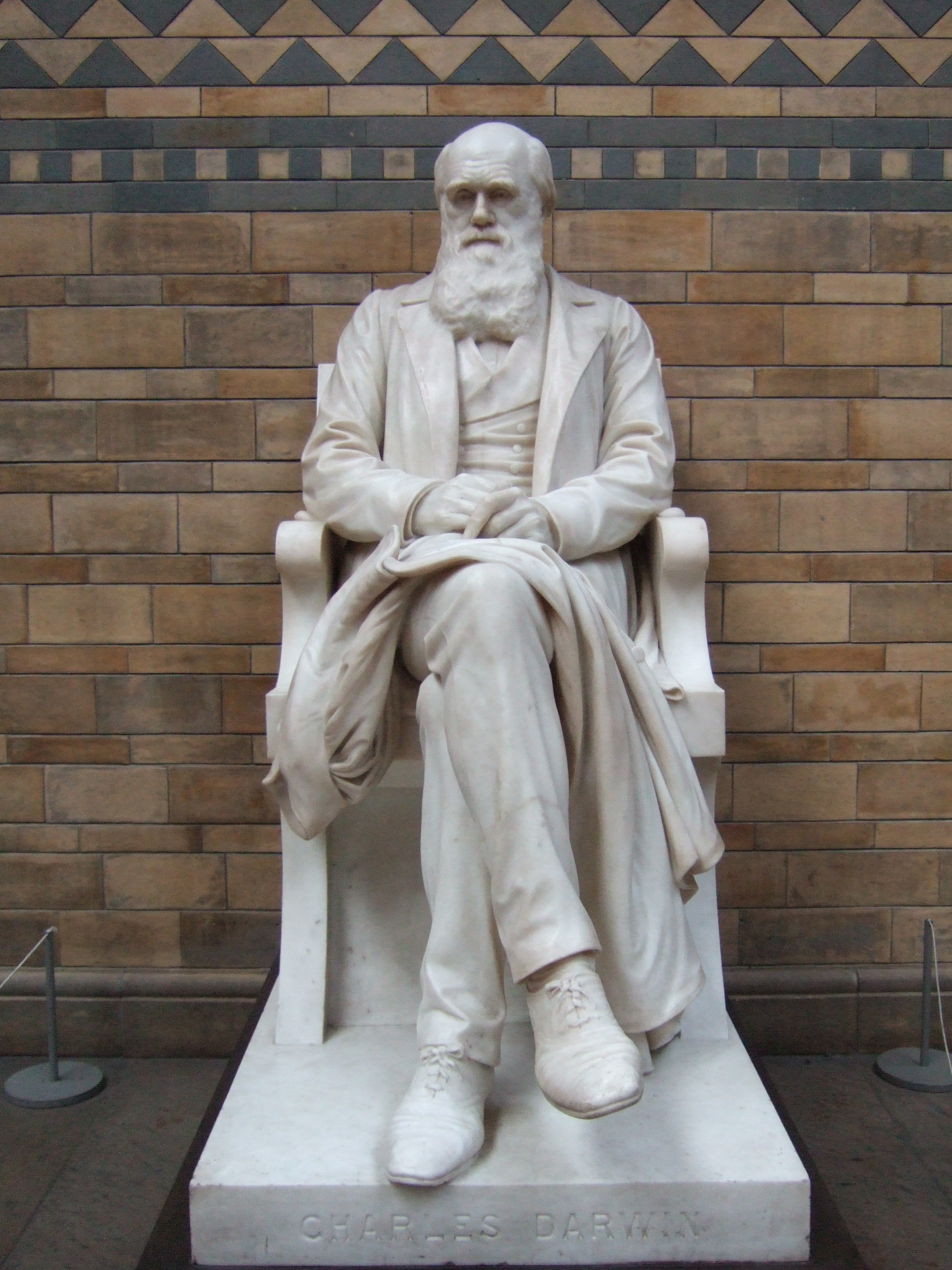 Charles Darwin at the Natural History Museum 